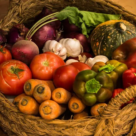 Altanure Almatere - Food Forest Boutique Stay *