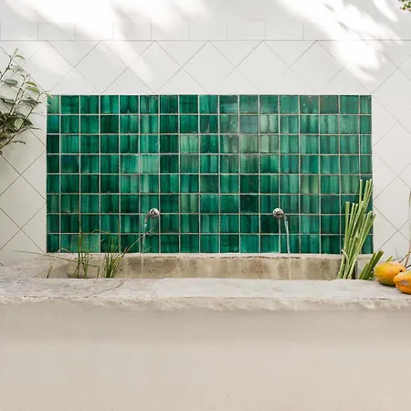 Altanure Almatere - Food Forest Boutique تافيرا