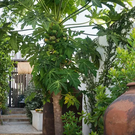 Отель Altanure Almatere - Food Forest Boutique